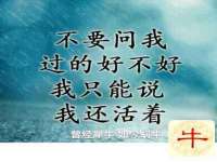 南京灰背鸟商贸有限公司