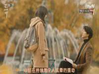 南京灰背鸟商贸有限公司