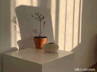 南京灰背鸟商贸有限公司
