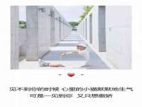 南京灰背鸟商贸有限公司