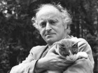 南京灰背鸟商贸有限公司