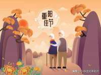 南京灰背鸟商贸有限公司