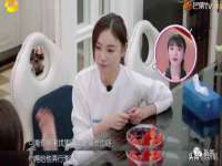 南京灰背鸟商贸有限公司