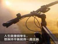南京灰背鸟商贸有限公司