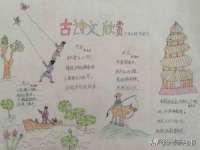 南京灰背鸟商贸有限公司