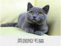 南京灰背鸟商贸有限公司