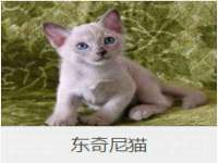 南京灰背鸟商贸有限公司