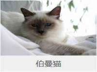 南京灰背鸟商贸有限公司