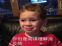 南京灰背鸟商贸有限公司