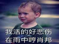 南京灰背鸟商贸有限公司