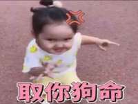 南京灰背鸟商贸有限公司