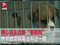 南京灰背鸟商贸有限公司
