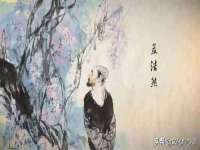 南京灰背鸟商贸有限公司