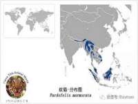 南京灰背鸟商贸有限公司