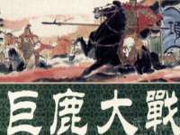 南京灰背鸟商贸有限公司