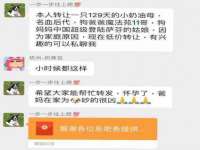 南京灰背鸟商贸有限公司