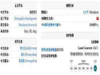 南京灰背鸟商贸有限公司