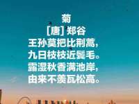 南京灰背鸟商贸有限公司