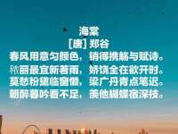 南京灰背鸟商贸有限公司