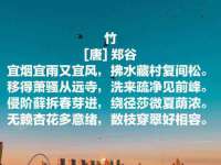 南京灰背鸟商贸有限公司