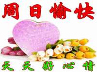 南京灰背鸟商贸有限公司