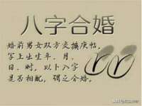 南京灰背鸟商贸有限公司