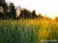 南京灰背鸟商贸有限公司