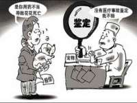 南京灰背鸟商贸有限公司