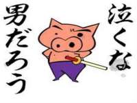 南京灰背鸟商贸有限公司