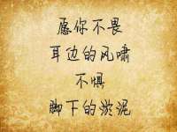 南京灰背鸟商贸有限公司