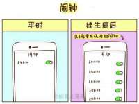 南京灰背鸟商贸有限公司