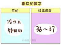 南京灰背鸟商贸有限公司