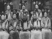 南京灰背鸟商贸有限公司