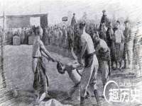 南京灰背鸟商贸有限公司