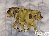 南京灰背鸟商贸有限公司