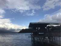 南京灰背鸟商贸有限公司