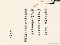 南京灰背鸟商贸有限公司