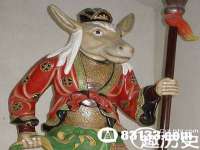 南京灰背鸟商贸有限公司