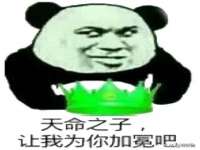 南京灰背鸟商贸有限公司