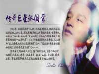 南京灰背鸟商贸有限公司
