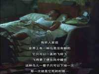 南京灰背鸟商贸有限公司