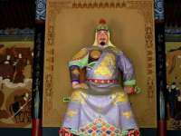 南京灰背鸟商贸有限公司