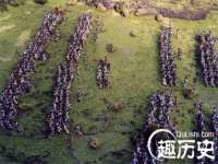 南京灰背鸟商贸有限公司