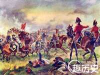 南京灰背鸟商贸有限公司