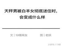 南京灰背鸟商贸有限公司