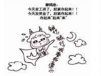 南京灰背鸟商贸有限公司