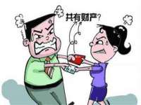 南京灰背鸟商贸有限公司