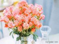 南京灰背鸟商贸有限公司