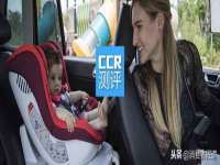 南京灰背鸟商贸有限公司
