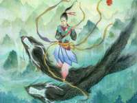 南京灰背鸟商贸有限公司